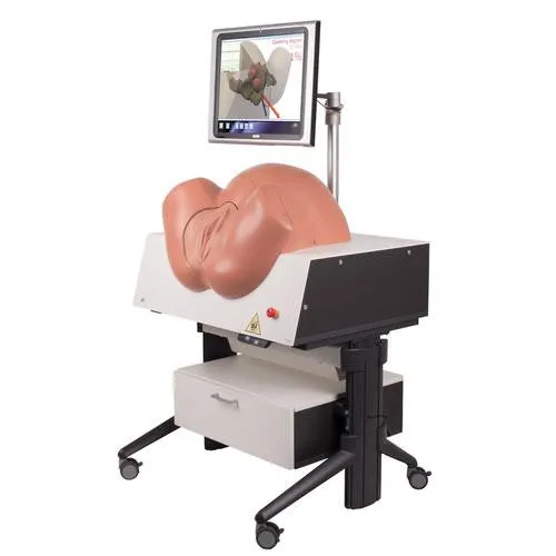3B Scientific NEW SIM