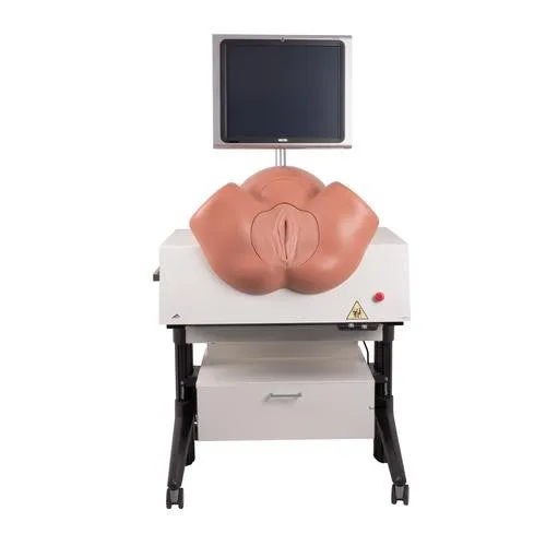3B Scientific NEW SIM